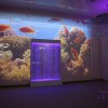 Проекционный дизайн "Виртуальная реальность" базовый комплект 500 анимаций - «globural.ru» - Туймазы