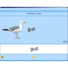 Английский язык. Освоение клавиатуры - «globural.ru» - Туймазы