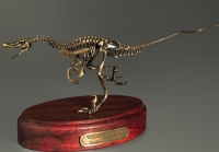 Модель скелета динозавра Velociraptor - «globural.ru» - Туймазы