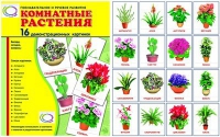 Демонстрационные карточки "Комнатные растения" - «globural.ru» - Туймазы