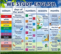 Стенд "We study english" - «globural.ru» - Туймазы