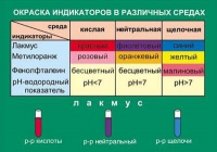 Таблица Окраска индикаторов в различных средах (винил) - «globural.ru» - Туймазы
