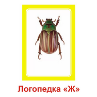 Логопедка "Ж" (логопедические карточки) - «globural.ru» - Туймазы