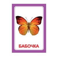 Логопедка "Ч" (логопедические карточки) - «globural.ru» - Туймазы