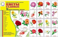 Демонстрационные карточки "Цветы садовые" - «globural.ru» - Туймазы