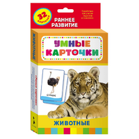 Карточки Домана "Животные" - «globural.ru» - Туймазы