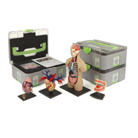 Учебный набор "Анатомия в деталях" - «globural.ru» - Туймазы