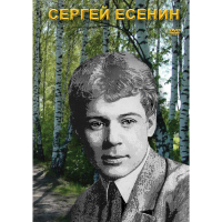 DVD Сергей Есенин - «globural.ru» - Туймазы