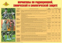 Плакат "Нормативы по радиационной, химической и биологической защите" - «globural.ru» - Туймазы