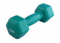 Гантель виниловая 2,5 кг - «globural.ru» - Туймазы