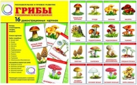 Демонстрационные карточки  "Грибы съедобные и не съедобные" - «globural.ru» - Туймазы