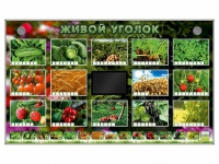 Комплект оборудования "Живой уголок" (растения) - «globural.ru» - Туймазы