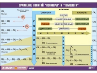 Таблица демонстрационная "Сравнение понятий изомер и гомолог" (винил 100х140) - «globural.ru» - Туймазы