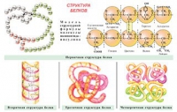 Плакаты и таблицы по общей химии - «globural.ru» - Туймазы