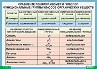 Химия. Сравнение понятий изомер и гомолог. Функциональные группы классов органических веществ (винил) - «globural.ru» - Туймазы