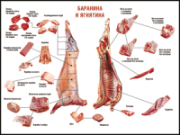 Правила разделки мясных туш "Баранина и ягнятина" 1000*1400 винил - «globural.ru» - Туймазы
