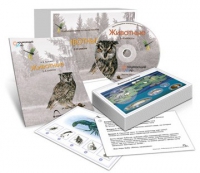 Комбинированное наглядное пособие «Животные» - «globural.ru» - Туймазы