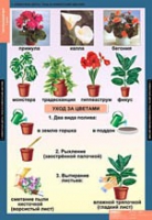 Окружающий мир 1 класс (комплект таблиц) - «globural.ru» - Туймазы