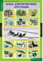 Окружающий мир 4 класс (комплект таблиц) - «globural.ru» - Туймазы