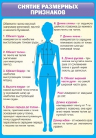 Стенд "Снятие мерок" (вариант 2) - «globural.ru» - Туймазы
