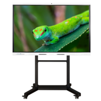 Интерактивный комплекс Geckotouch ​​​​​​​65RK - «globural.ru» - Туймазы