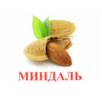 Карточки Домана "Орехи-Ягоды-2" - «globural.ru» - Туймазы