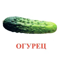 Карточки Домана "Овощи-Зелень-1" - «globural.ru» - Туймазы