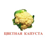 Карточки Домана "Овощи-Зелень-2" - «globural.ru» - Туймазы