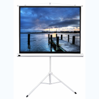 Экран на штативе DSKD-4302 - «globural.ru» - Туймазы
