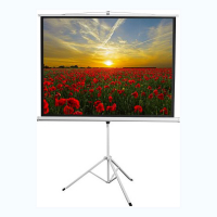 Экран на штативе DSKD-4303 - «globural.ru» - Туймазы