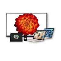 Интерактивное наглядное 3D пособие «Познание: Цветоводство» - «globural.ru» - Туймазы