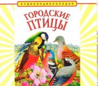 CD "Аудиоэнциклопедия. Городские птицы" - «globural.ru» - Туймазы