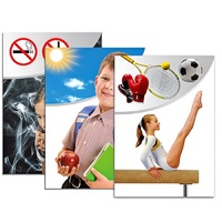 Модель-аппликация "Здоровье человека" - «globural.ru» - Туймазы