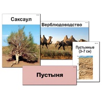 Модель-аппликация "Природные зоны России" - «globural.ru» - Туймазы