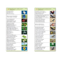 Комплект карточек (10) "Обучающий калейдоскоп. Природа" - «globural.ru» - Туймазы