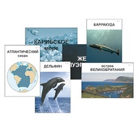 Модель-аппликация "Океаны. Знакомство" (ламинированная) - «globural.ru» - Туймазы