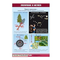 Таблица демонстрационная "Ориентирование на местности" (винил 70х100) - «globural.ru» - Туймазы