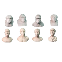 Набор палеонтологических муляжей - «globural.ru» - Туймазы