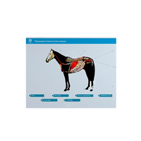 Стенд-планшет светодинамический "Изучение пищеварительной системы сельскохозяйственных животных" со сменными панелями - «globural.ru» - Туймазы