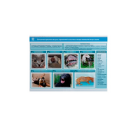 Стенд-планшет светодинамический «Острые отравления животных лекарственными препаратами» - «globural.ru» - Туймазы