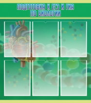 Стенд "Подготовка к ЕГЭ и ОГЭ по биологии" (вариант 1) - «globural.ru» - Туймазы