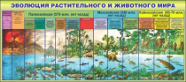 Стенд "Эволюция растительного и животного мира" - «globural.ru» - Туймазы