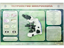 Электрифицированный стенд "Устройство микроскопа и правила работы c ним" - «globural.ru» - Туймазы