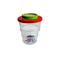 Коробка для изучения насекомых с лупой (вариант 2) - «globural.ru» - Туймазы