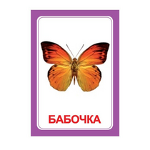 Логопедка "Ч" (логопедические карточки) - «globural.ru» - Туймазы