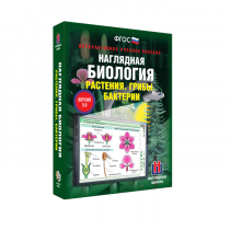 Наглядная биология. Растения. Грибы. Бактерии - «globural.ru» - Туймазы