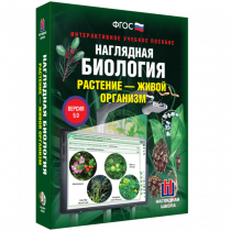 Наглядная биология. Растение - живой организм - «globural.ru» - Туймазы