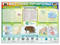 Стенд-уголок "Вестник природы" (вариант 1) - «globural.ru» - Туймазы