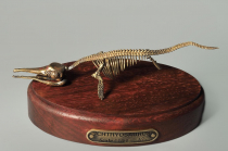 Модель скелета ихтиозавра Ichthyosaurus - «globural.ru» - Туймазы