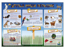 Стенд-уголок "Друзья наши меньшие" - «globural.ru» - Туймазы